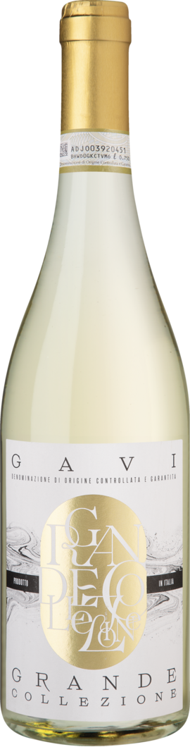 Roberto Sarotto 2025 Grande Collezione Gavi