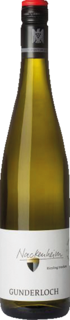 Weingut Gunderloch 2022 Nackenheim Riesling Erste Lage BIO