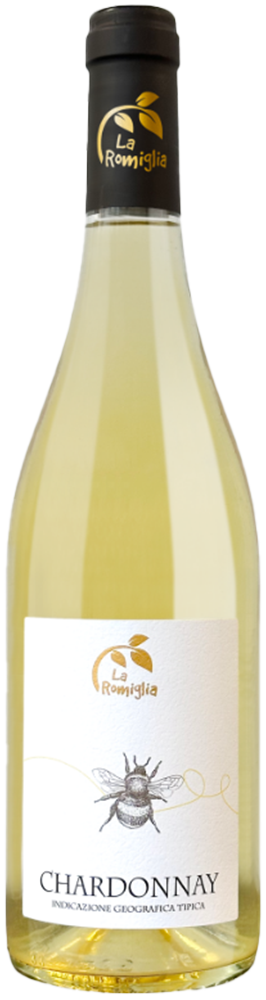 2021 Chardonnay Veneto IGP 2021 Chardonnay Veneto IGP
