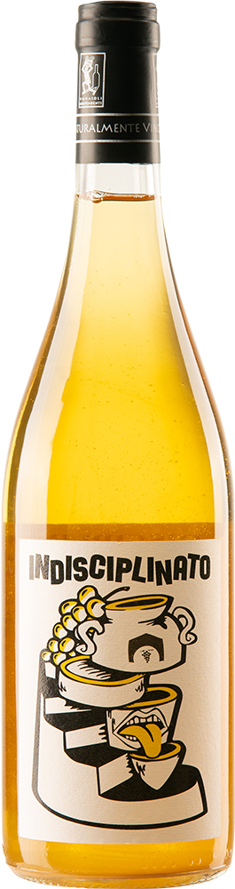 2023 Indisciplinato Marche IGP