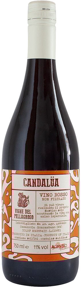 2021 Candalua 2021 Candalua