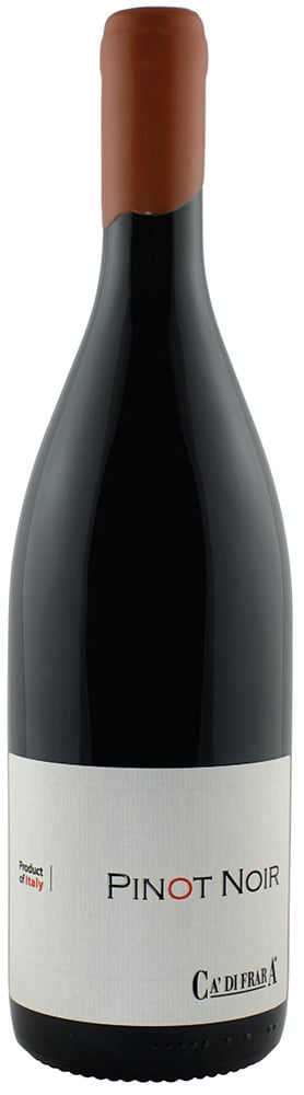 2020 Pinot Noir Oltrepò Pavese DOC 2020 Pinot Noir Oltrepò Pavese DOC