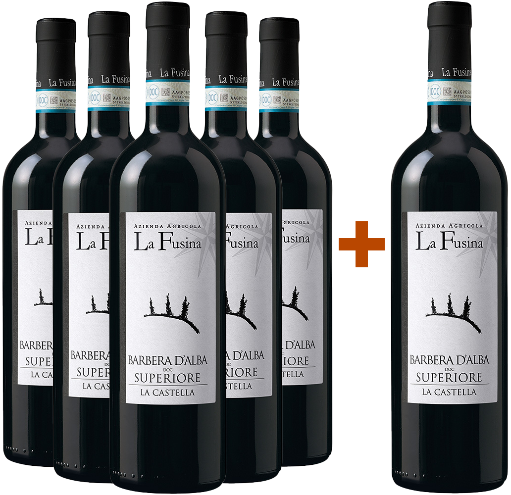 5+1 La Castella Barbera d'Alba Superiore DOC 5+1 La Castella Barbera d'Alba Superiore DOC