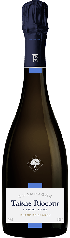 CHAMPAGNE BLANC DE BLANCS