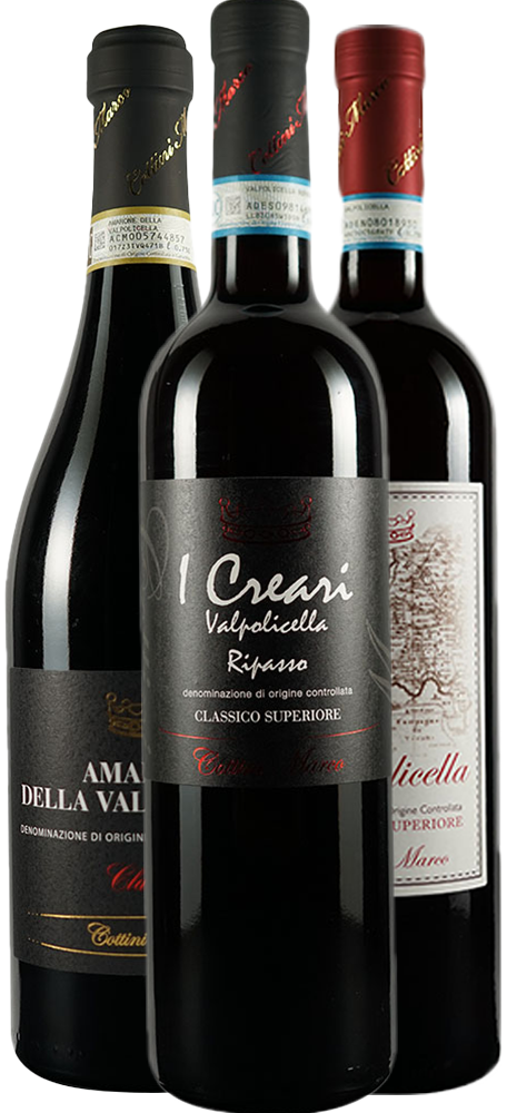 Cottini Marco Box Degustazione Valpolicella