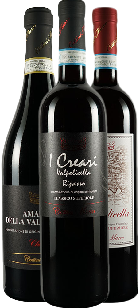 Cottini Marco Box Degustazione Valpolicella Cottini Marco Box Degustazione Valpolicella