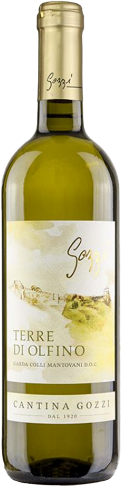 2023 Bianco Terre Di Olfino Garda Colli Mantovani DOC 2023 Bianco Terre Di Olfino Garda Colli Mantovani DOC