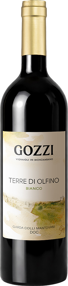 2025 Bianco Terre Di Olfino Garda Colli Mantovani DOC