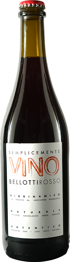 2024 Semplicemente Vino Bellotti Rosso Cuvée BIO 2024 Semplicemente Vino Bellotti Rosso Cuvée BIO