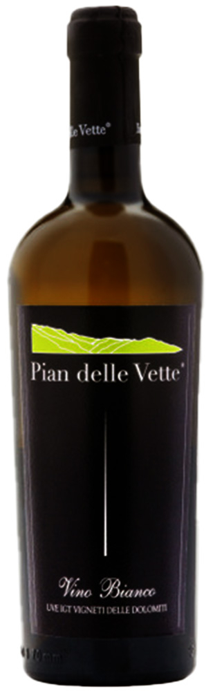 2020 Chardonnay Vigneti Delle Dolomiti IGP