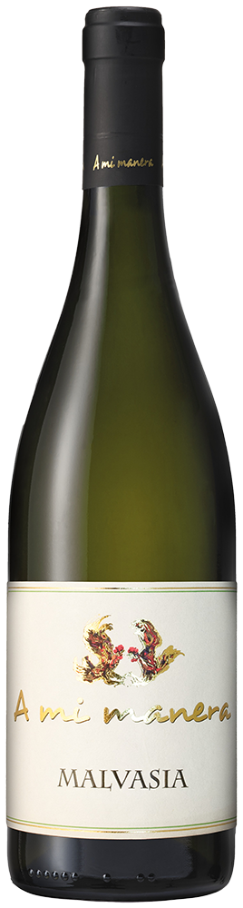 Malvasia Veneto IGP Malvasia Veneto IGP