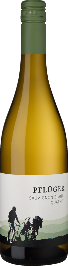 Weingut Pflüger 2025 Pflüger Sauvignon Blanc vom Quarzit BIO