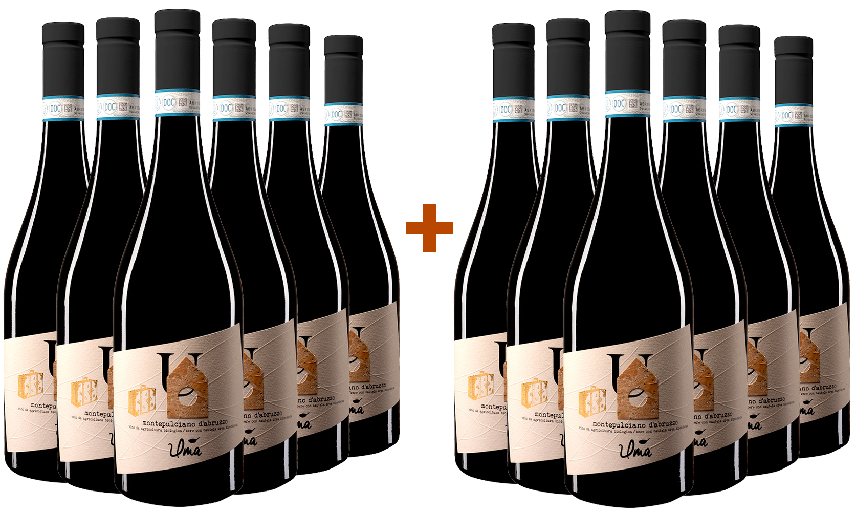 Promo 2020 Montepulciano DOC BIO Promo 2020 Montepulciano DOC BIO