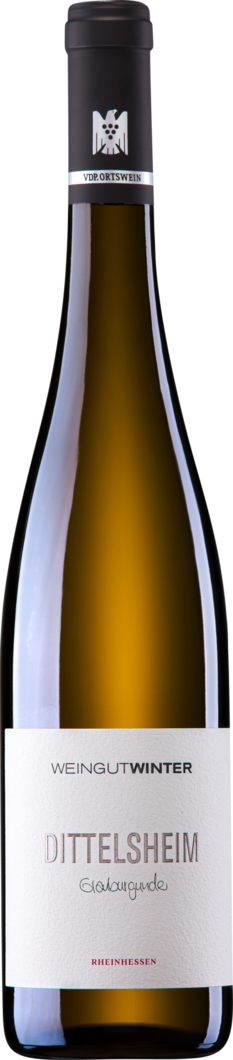 Weingut Winter 2022 Dittelsheim Grauburgunder