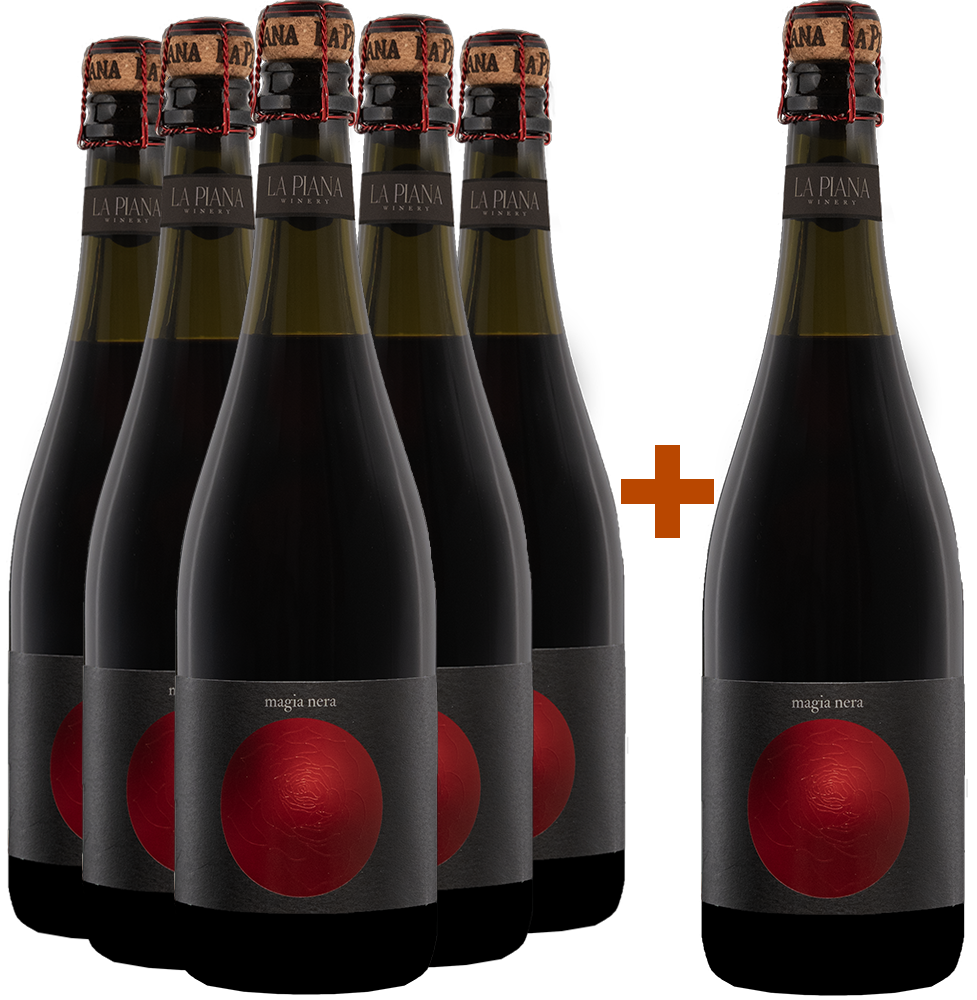 5+1 Magia Nera Lambrusco Grasparossa di Castelvetro DOC BIO