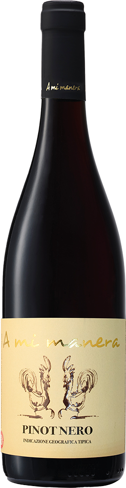 Pinot Nero Veneto IGP Pinot Nero Veneto IGP