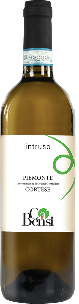 2024 Intruso Cortese Piemonte DOC