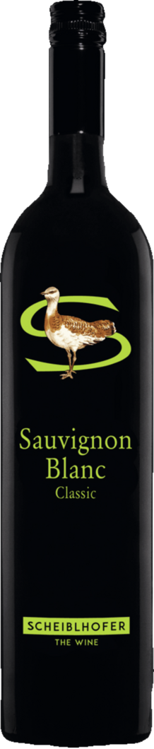 Scheiblhofer THE WINE GmbH 2024 Scheiblhofer Classic Sauvignon Blanc