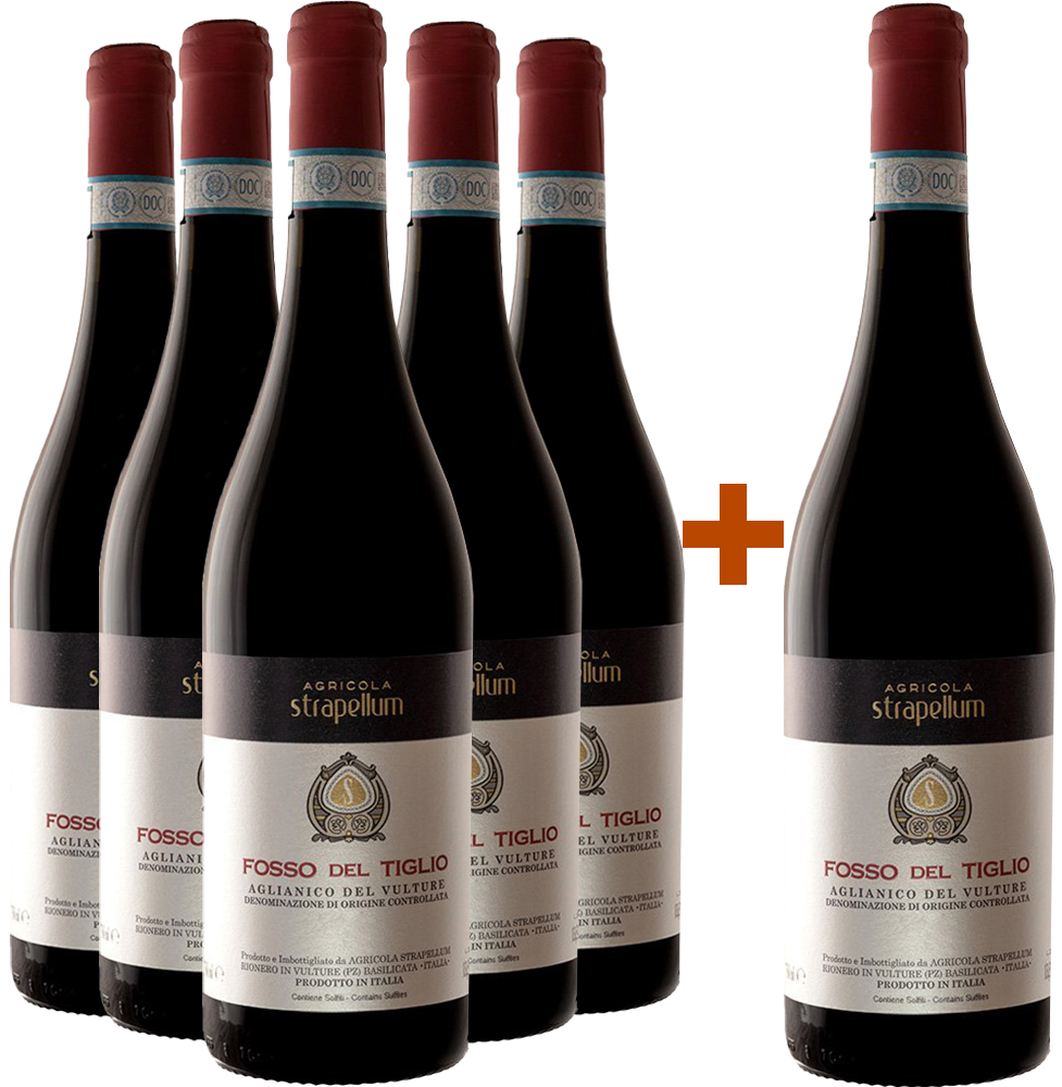 5+1 Fosso del Tiglio Aglianico del Vulture DOC 5+1 Fosso del Tiglio Aglianico del Vulture DOC