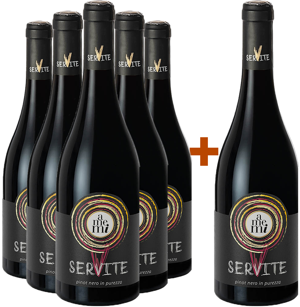 5+1 Pinot nero "A me mi" BIO