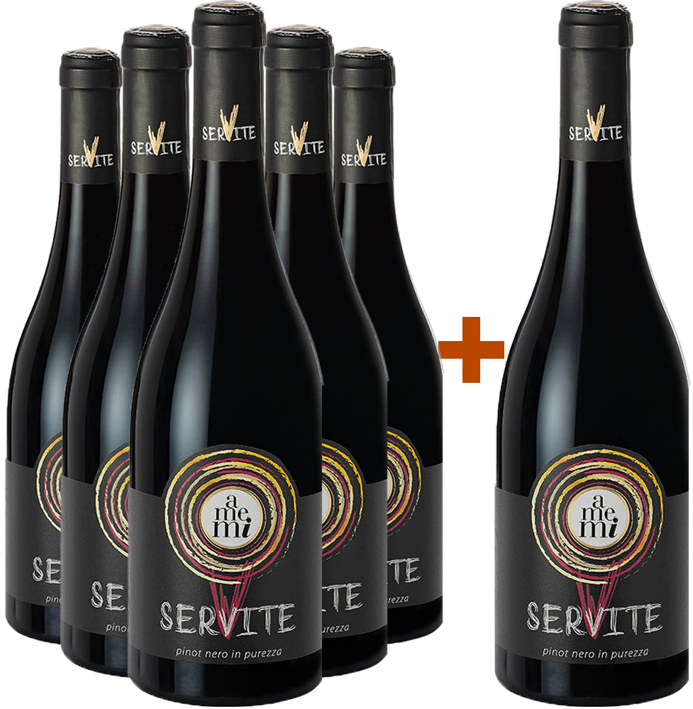 5+1 Pinot nero "A me mi" BIO 5+1 Pinot nero "A me mi" BIO