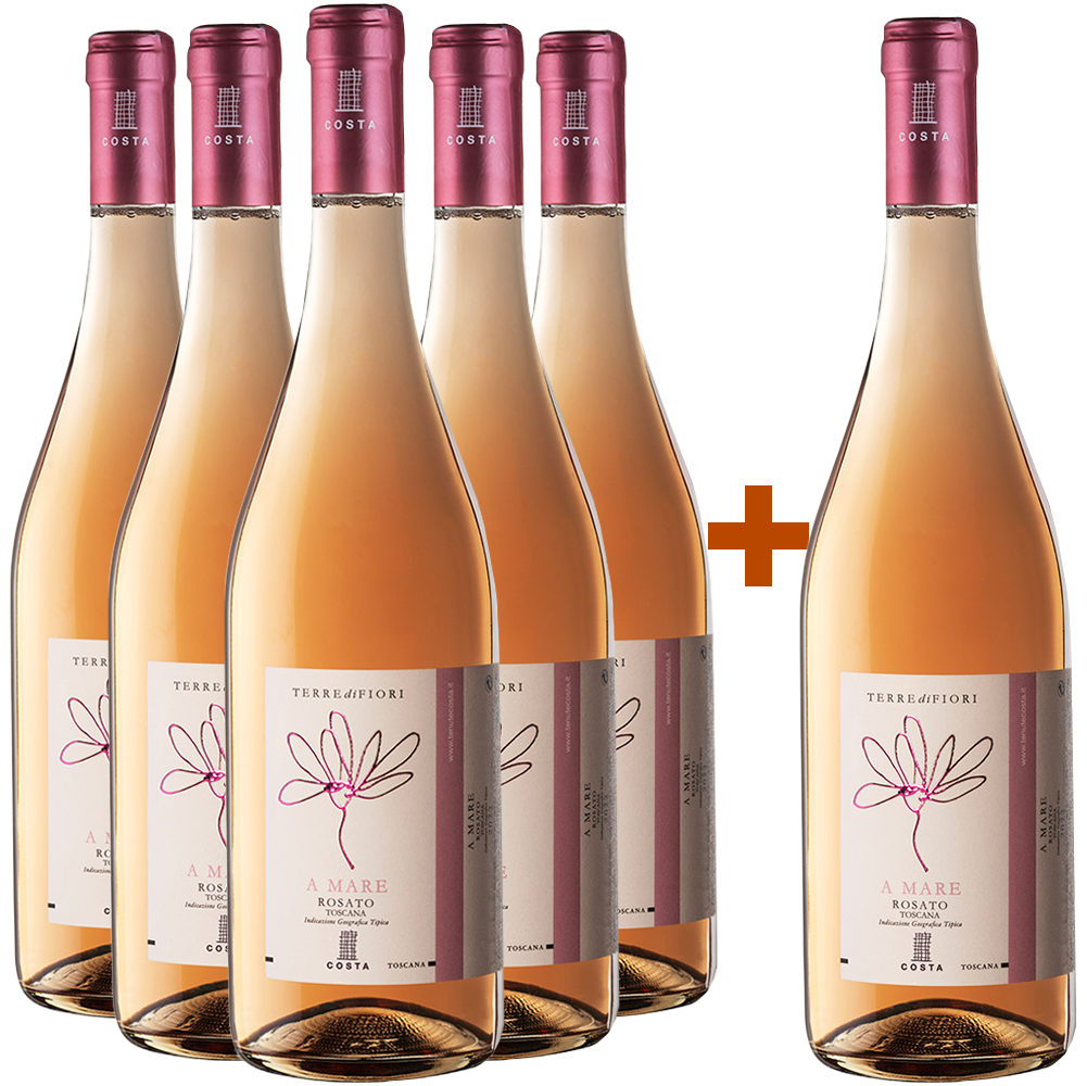 5+1 Terredifiori A Mare Rosé Toscana IGP