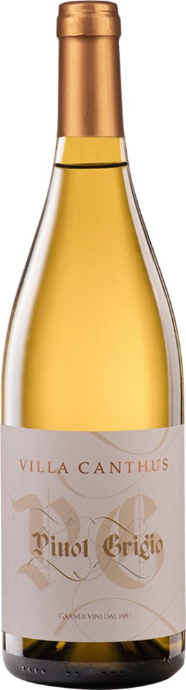 2022 Pinot Grigio Delle Venezie DOC