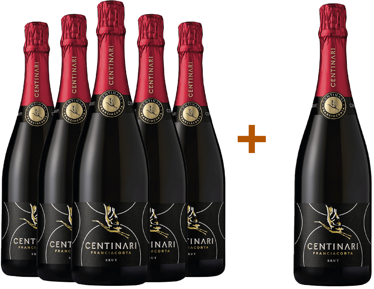 5+1 Centinari Franciacorta DOCG