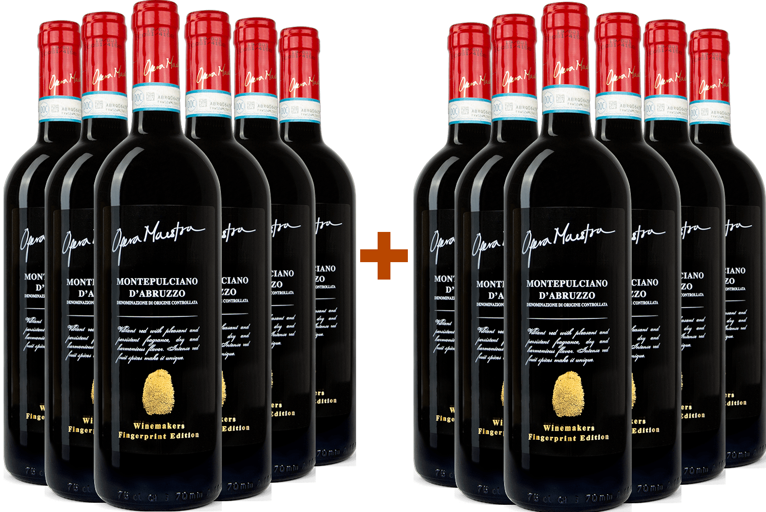 6+6 Opera Maestra Montepulciano d'Abruzzo DOC