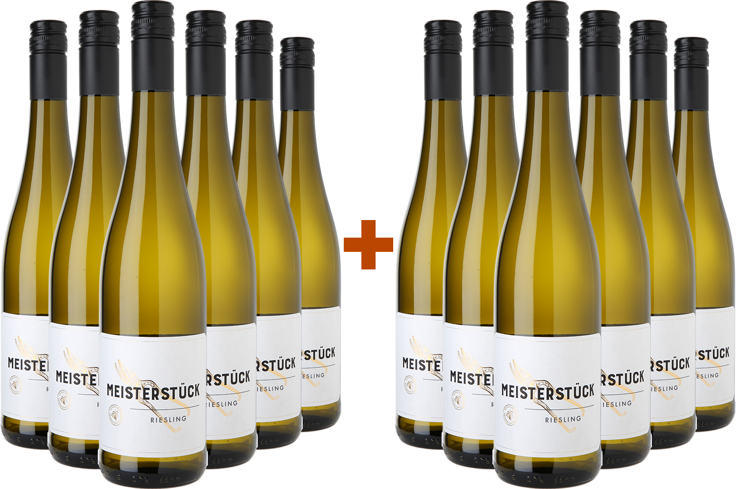 WirWinzer Select Back-up: 6+6 Paket Meisterstück Riesling