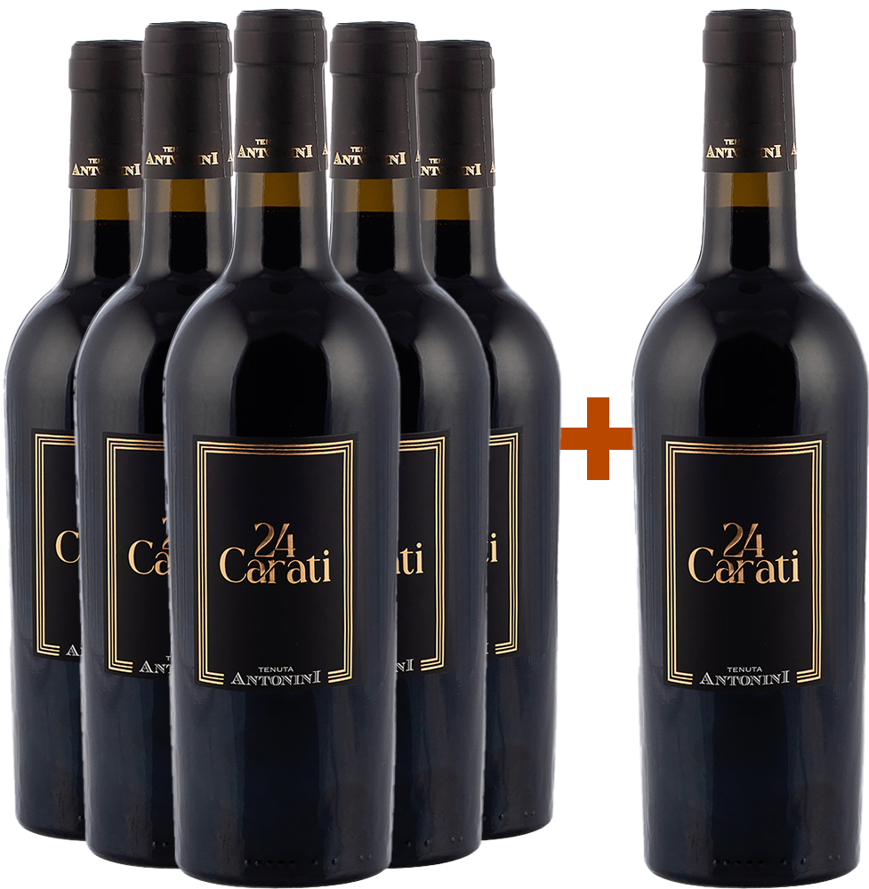 5+1 24 Carati Rosso 