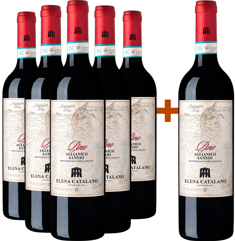 5+1 Pino Aglianico Del Sannio DOC