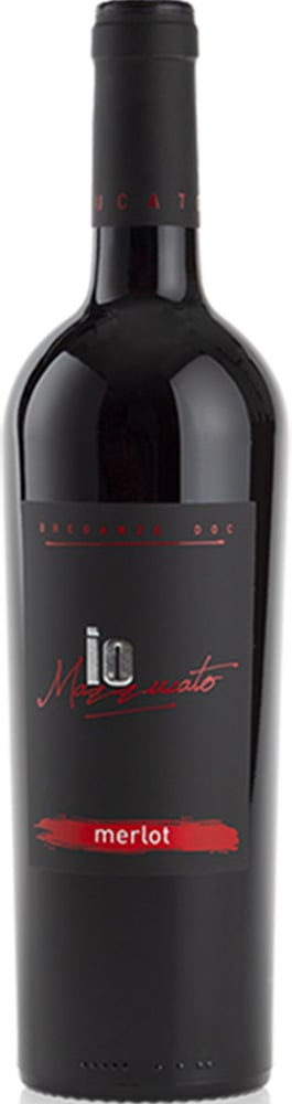 2019 Merlot Breganze DOC 2019 Merlot Breganze DOC