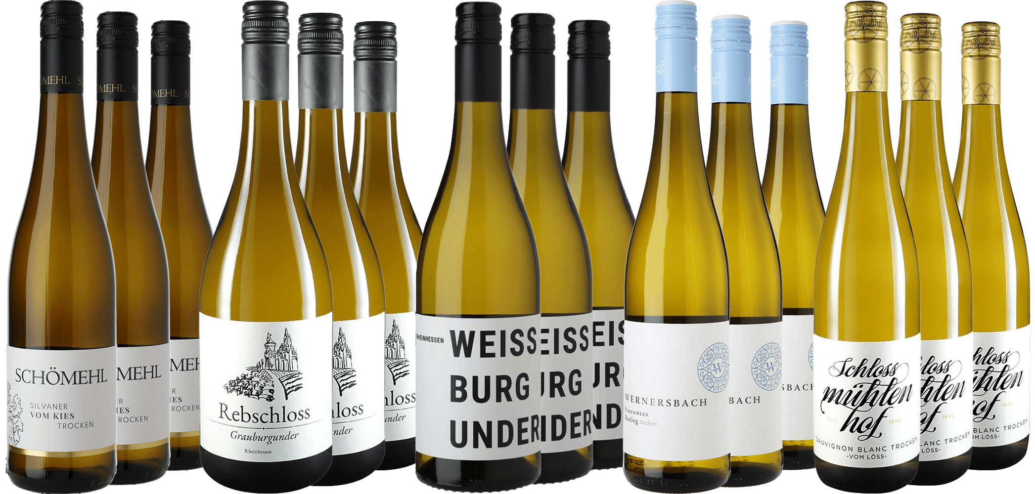 WirWinzer Select Großes Rebsorten-Paket