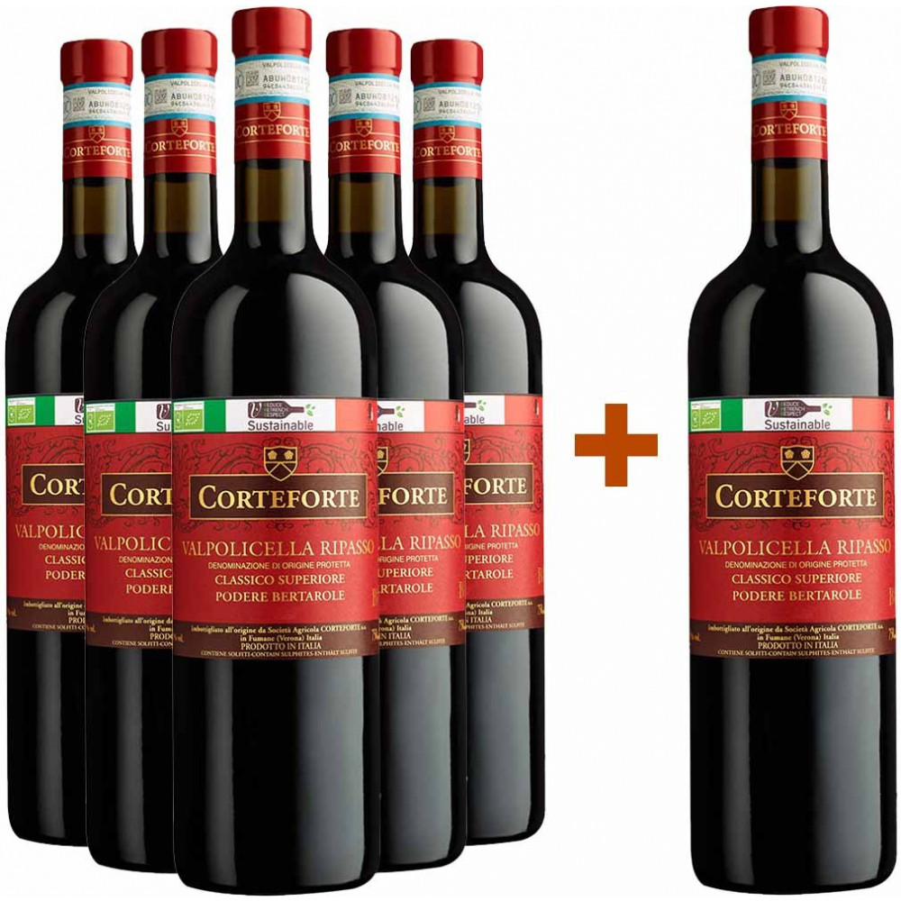 5+1 Valpolicella Ripasso Classico Superiore DOC BIO
