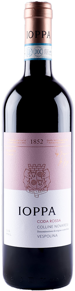 2023 Vespolina Coda Rossa Colline Novaresi DOC