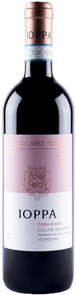 2023 Vespolina Coda Rossa Colline Novaresi DOC 2023 Vespolina Coda Rossa Colline Novaresi DOC