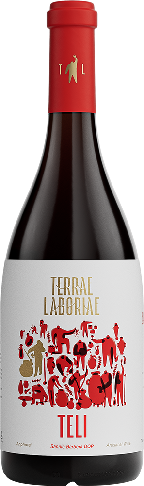 2024 TELI Barbera Sannio DOC