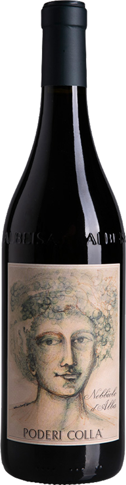 2022 Drago Nebbiolo d'Alba DOC