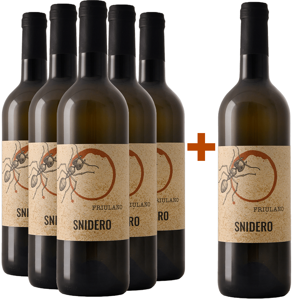 5+1 Friulano Friuli Colli Orientali DOC BIO 5+1 Friulano Friuli Colli Orientali DOC BIO