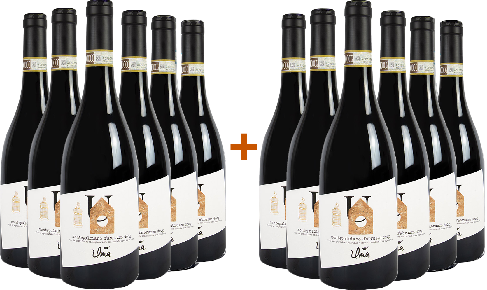6+6 Montepulciano d'Abruzzo Colline Teramane DOCG BIO BIO