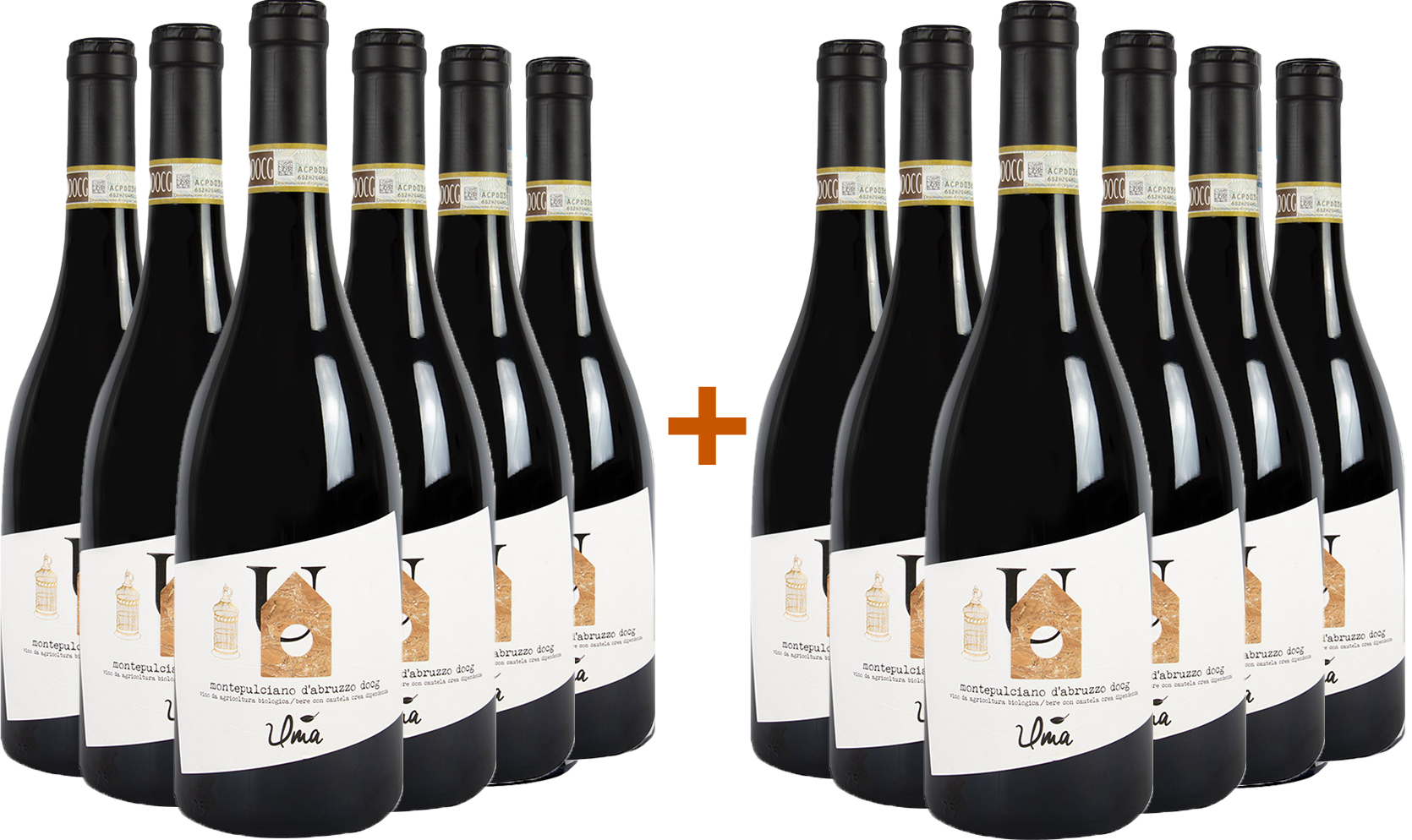 6+6 Montepulciano d'Abruzzo Colline Teramane DOCG BIO BIO 6+6 Montepulciano d'Abruzzo Colline Teramane DOCG BIO BIO