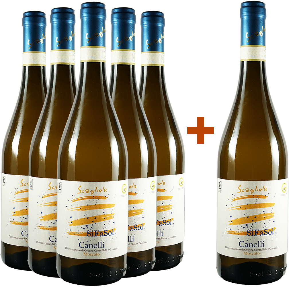 5+1 Canelli DOCG Moscato SiFaSol 5+1 Canelli DOCG Moscato SiFaSol