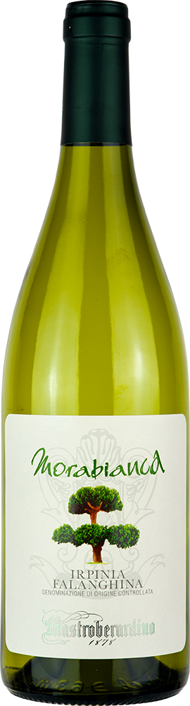 2024 Morabianca Falanghina Irpinia DOC 2024 Morabianca Falanghina Irpinia DOC