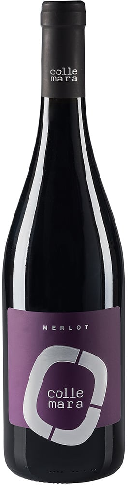 2017 Merlot Rosso Marche IGP 2017 Merlot Rosso Marche IGP