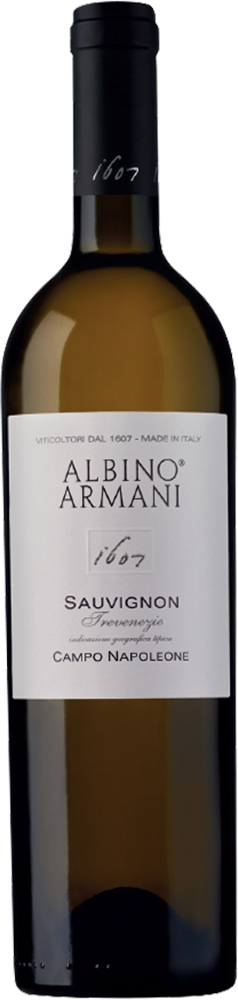 2023 Sauvignon Campo Napoleone Trevenezie IGP