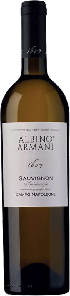 2023 Sauvignon Campo Napoleone Trevenezie IGP 2023 Sauvignon Campo Napoleone Trevenezie IGP