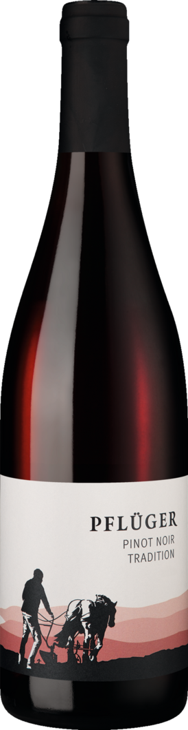 Weingut Pflüger 2024 Tradition Pinot Noir BIO