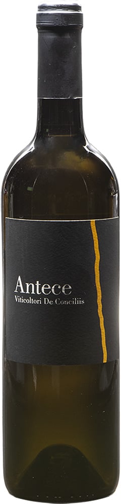2022 Antece Cilento Fiano DOC 2022 Antece Cilento Fiano DOC