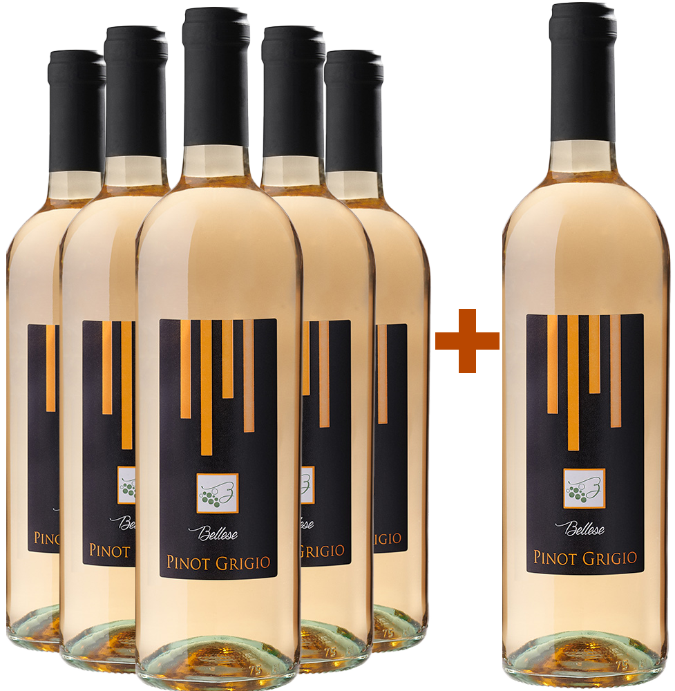 5+1 Pinot Grigio Venezie DOC 5+1 Pinot Grigio Venezie DOC